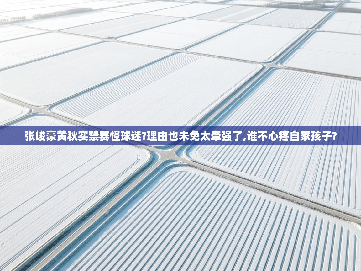 张峻豪黄秋实禁赛怪球迷?理由也未免太牵强了,谁不心疼自家孩子? 第1张