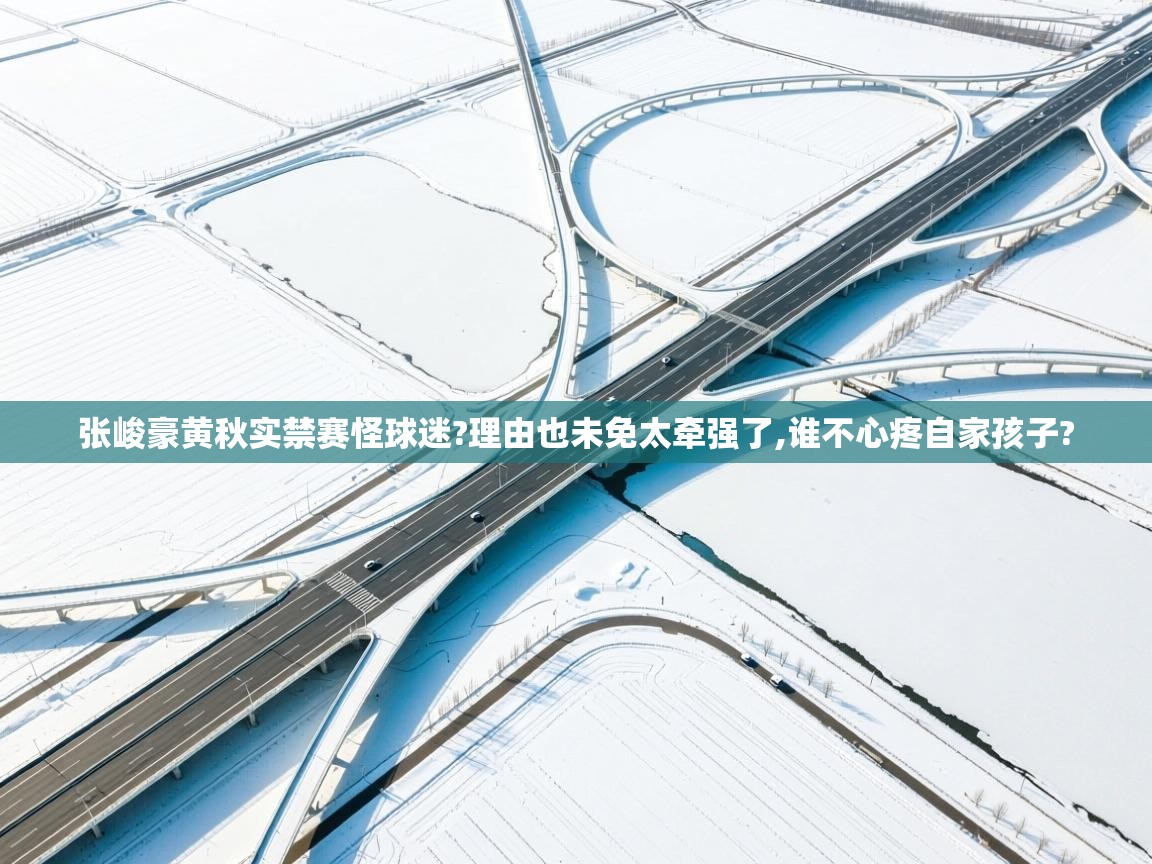 张峻豪黄秋实禁赛怪球迷?理由也未免太牵强了,谁不心疼自家孩子? 第2张